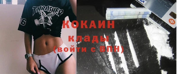 эйфоретик Пересвет