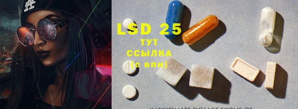 эйфоретик Пересвет