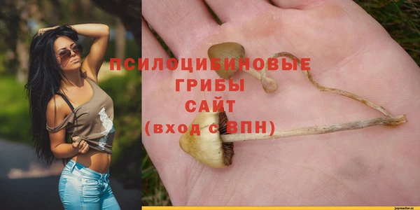 дмт Осинники