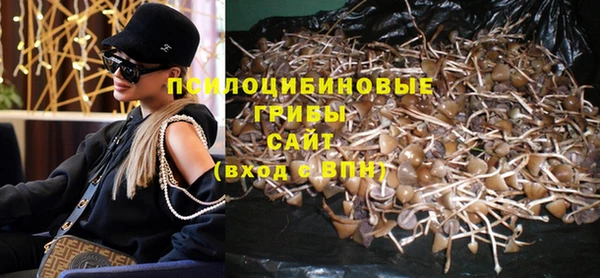 дмт Осинники