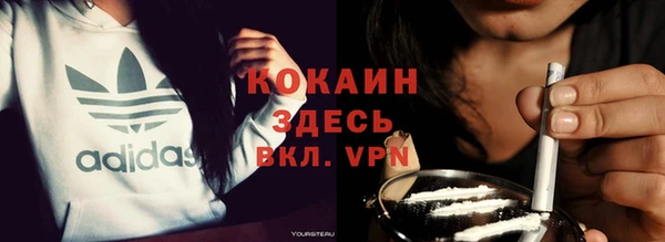 дмт Осинники