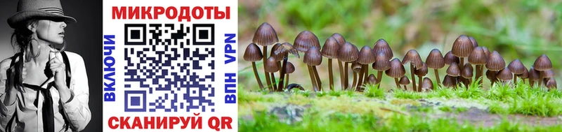 Галлюциногенные грибы Magic Shrooms  закладка  Колпашево 