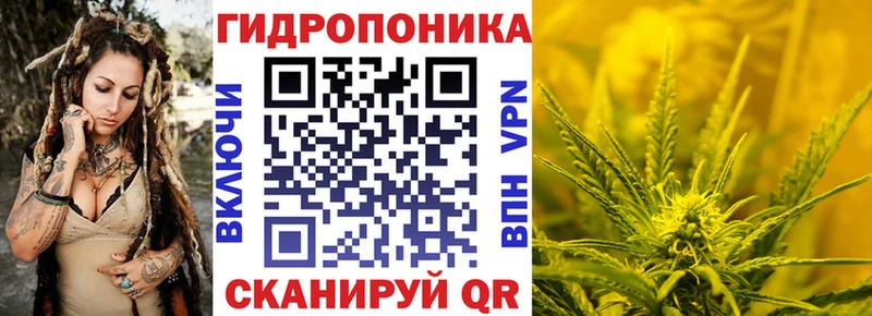Бошки марихуана THC 21%  наркотики  Колпашево 